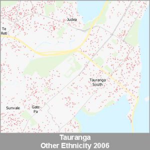 Ethnicity Tauranga Other ProductImage 2006