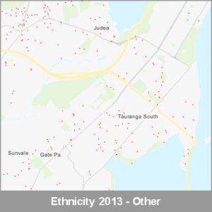 Ethnicity Tauranga Other ProductImage 2013