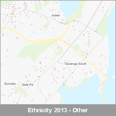 Ethnicity Tauranga Other ProductImage 2013