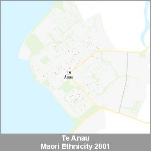 Ethnicity Te Anau Maori ProductImage 2001