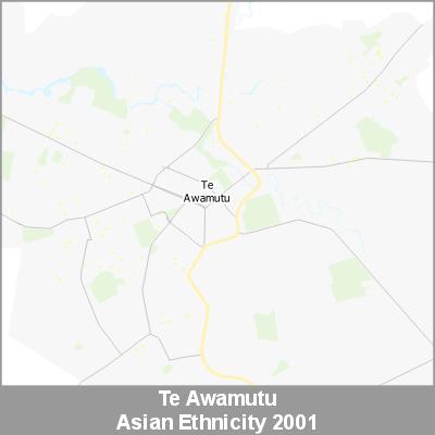 Ethnicity Te Awamutu Asian ProductImage 2001