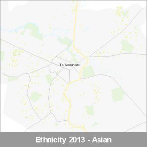Ethnicity Te Awamutu Asian ProductImage 2013