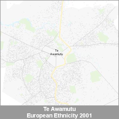 Ethnicity Te Awamutu European ProductImage 2001