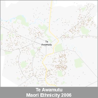 Ethnicity Te Awamutu Maori ProductImage 2006