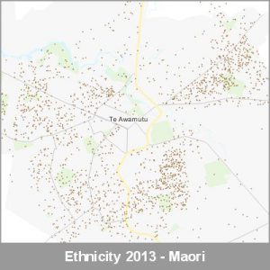 Ethnicity Te Awamutu Maori ProductImage 2013