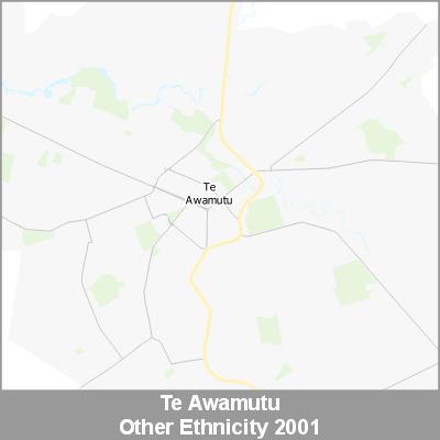 Ethnicity Te Awamutu Other ProductImage 2001