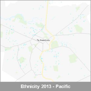 Ethnicity Te Awamutu Pacific ProductImage 2013