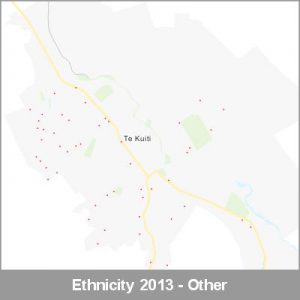 Ethnicity Te Kuiti Other ProductImage 2013
