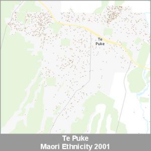 Ethnicity Te Puke Maori ProductImage 2001