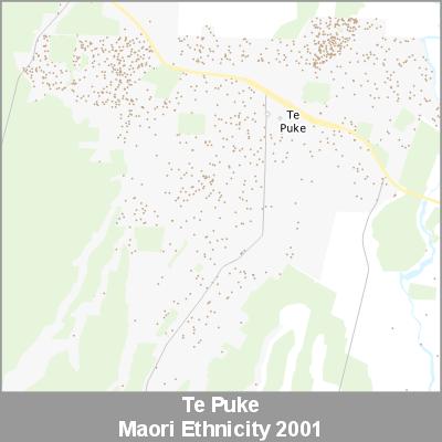 Ethnicity Te Puke Maori ProductImage 2001