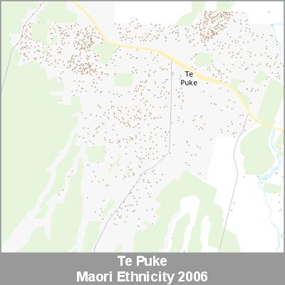 Ethnicity Te Puke Maori ProductImage 2006