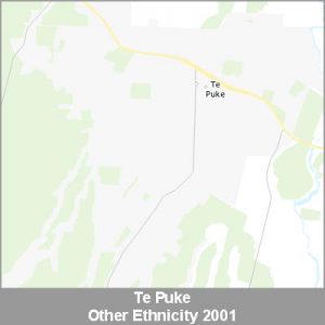 Ethnicity Te Puke Other ProductImage 2001