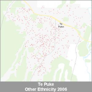 Ethnicity Te Puke Other ProductImage 2006