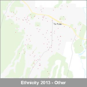 Ethnicity Te Puke Other ProductImage 2013