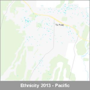 Ethnicity Te Puke Pacific ProductImage 2013