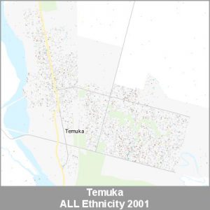 Ethnicity Temuka ALL ProductImage 2001