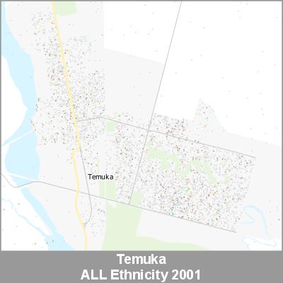 Ethnicity Temuka ALL ProductImage 2001