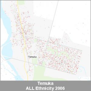 Ethnicity Temuka ALL ProductImage 2006
