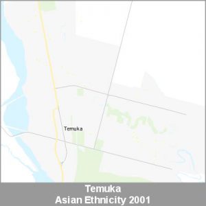 Ethnicity Temuka Asian ProductImage 2001