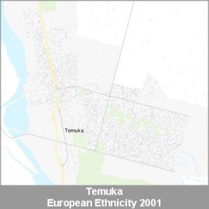 Ethnicity Temuka European ProductImage 2001