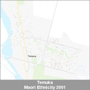 Ethnicity Temuka Maori ProductImage 2001