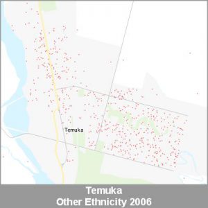 Ethnicity Temuka Other ProductImage 2006