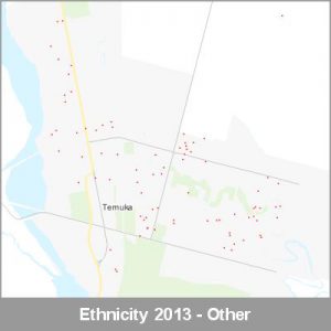 Ethnicity Temuka Other ProductImage 2013