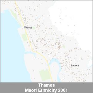 Ethnicity Thames Maori ProductImage 2001