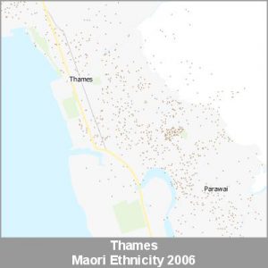 Ethnicity Thames Maori ProductImage 2006
