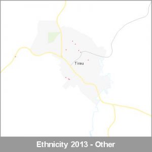 Ethnicity Tirau Other ProductImage 2013
