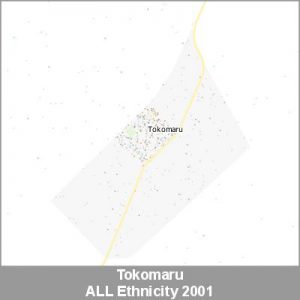 Ethnicity Tokomaru ALL ProductImage 2001
