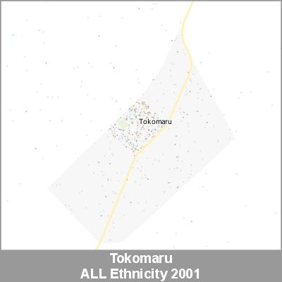Ethnicity Tokomaru ALL ProductImage 2001