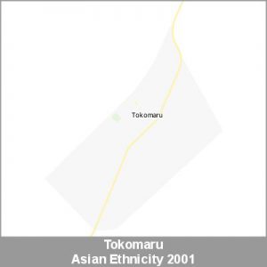 Ethnicity Tokomaru Asian ProductImage 2001