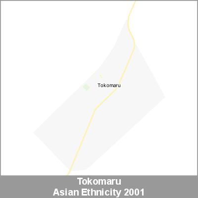 Ethnicity Tokomaru Asian ProductImage 2001