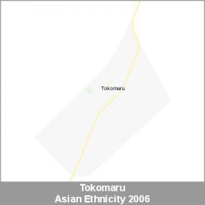 Ethnicity Tokomaru Asian ProductImage 2006