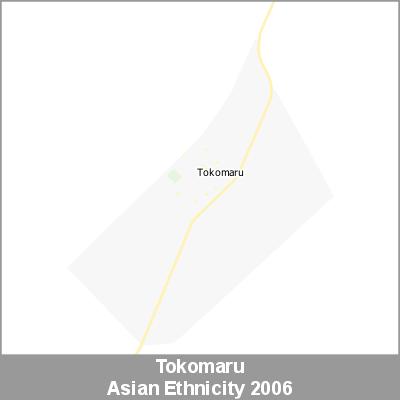 Ethnicity Tokomaru Asian ProductImage 2006