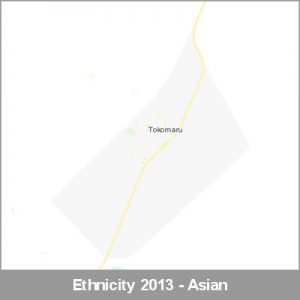 Ethnicity Tokomaru Asian ProductImage 2013