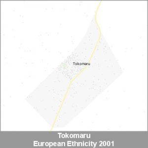 Ethnicity Tokomaru European ProductImage 2001