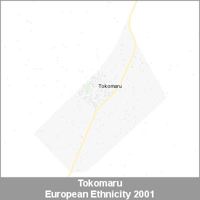 Ethnicity Tokomaru European ProductImage 2001
