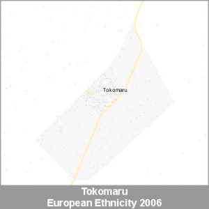 Ethnicity Tokomaru European ProductImage 2006