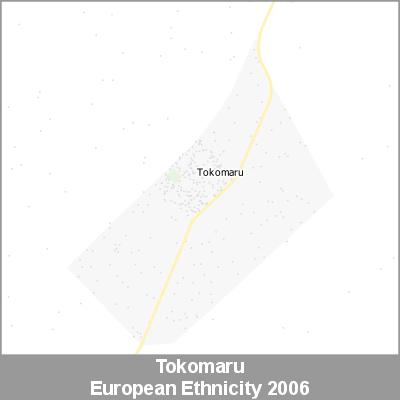 Ethnicity Tokomaru European ProductImage 2006