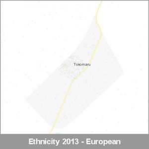 Ethnicity Tokomaru European ProductImage 2013