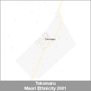 Ethnicity Tokomaru Maori ProductImage 2001