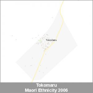 Ethnicity Tokomaru Maori ProductImage 2006