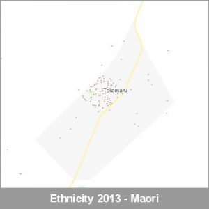 Ethnicity Tokomaru Maori ProductImage 2013