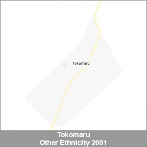 Ethnicity Tokomaru Other ProductImage 2001
