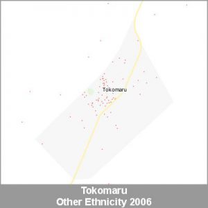 Ethnicity Tokomaru Other ProductImage 2006