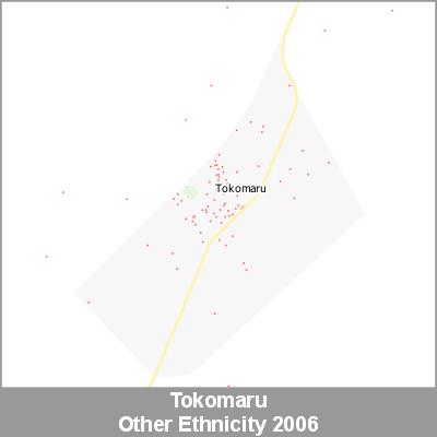 Ethnicity Tokomaru Other ProductImage 2006