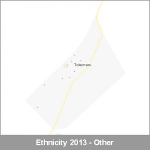 Ethnicity Tokomaru Other ProductImage 2013