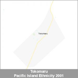 Ethnicity Tokomaru Pacific ProductImage 2001